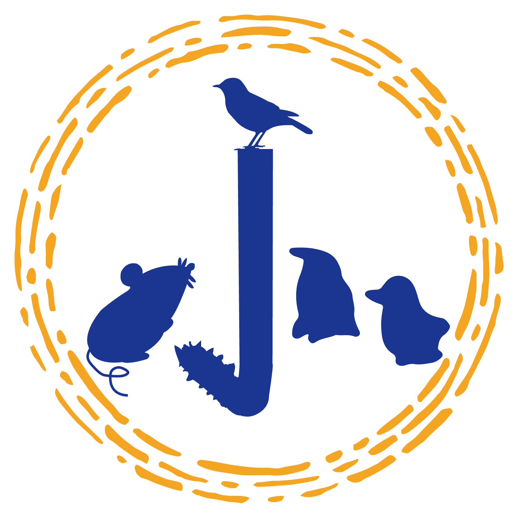 蓝金.png